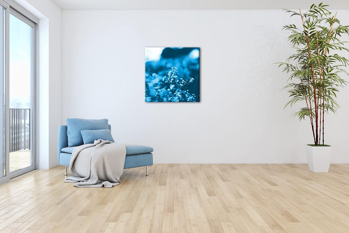 deyoli weisse Wildblumen Format: 70x70 Effekt: Monocrome Blau als Leinwandbild, Motiv fertig gerahmt