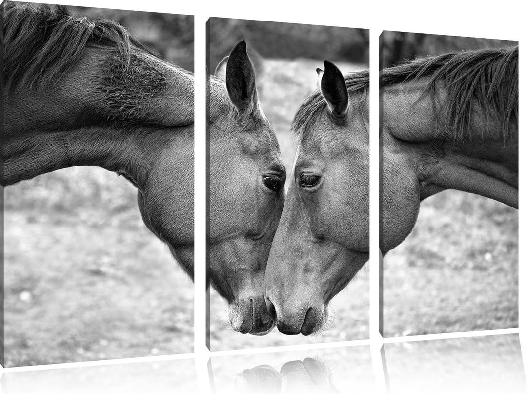 Pixxprint Zwei schmusende Pferde Kunst B&W als Leinwandbild | Grösse: 3 Teilig (120x80) | Wandbild|