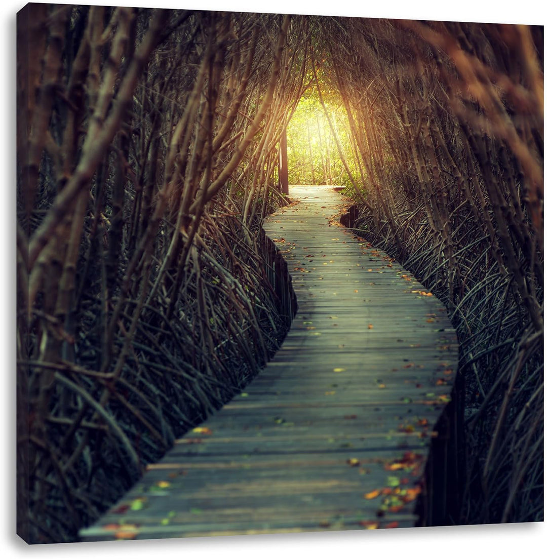 Gehweg im Wald, Format: 70x70 auf Leinwand, XXL riesige Bilder fertig gerahmt mit Keilrahmen, Kunstd