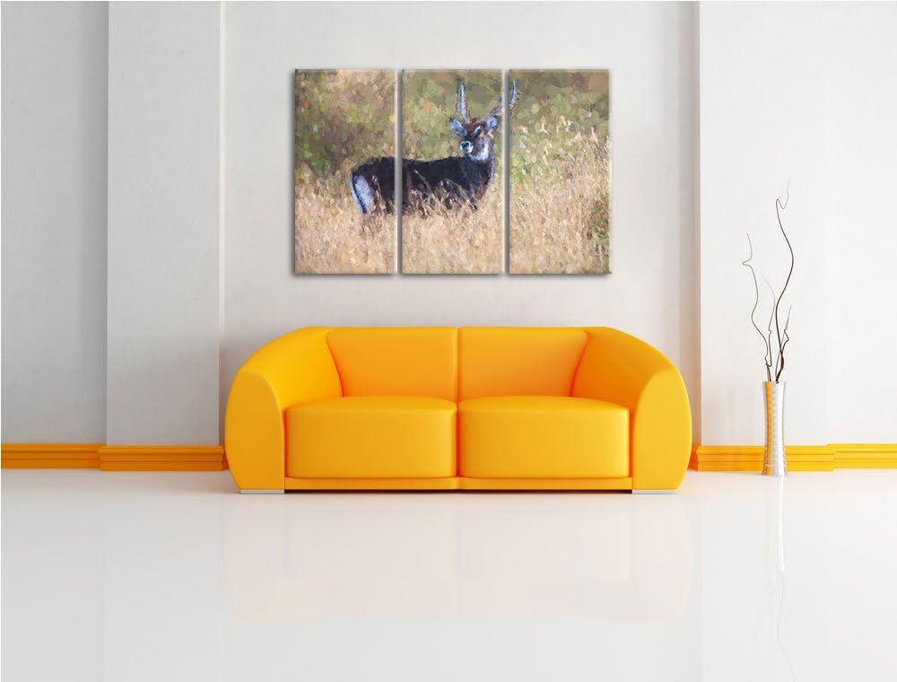 ausgewachsene Dorkasgazelle NewArt 3-Teiler Leinwandbild 120x80 Bild auf Leinwand, XXL riesige Bilde