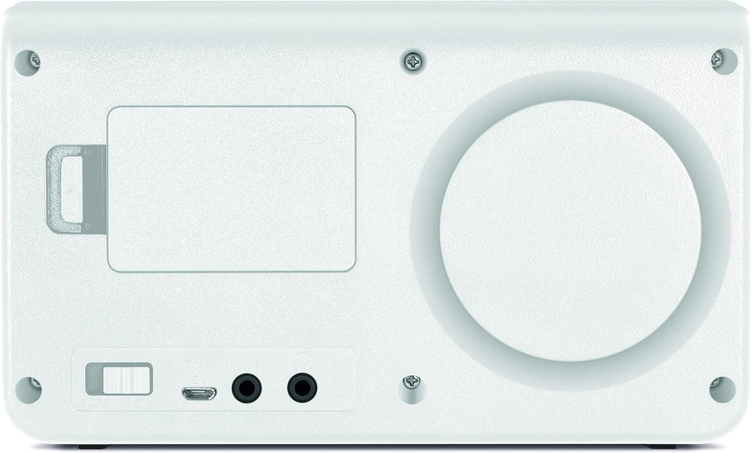 TechniSat STERNRADIO IR 2 - kompaktes Internetradio (WLAN, wechselbarer Akku, Farbdisplay, änderbare