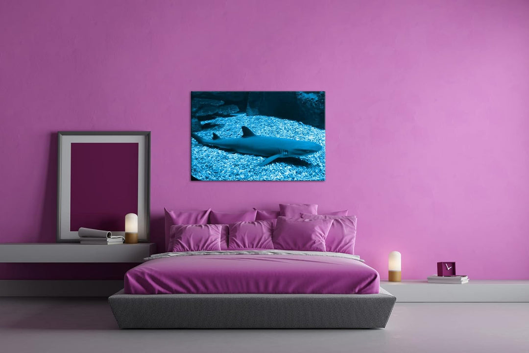 deyoli Weissspitzen Hai Format 80x60 Effekt: Monocrome Blau als Leinwandbild, Motiv fertig gerahmt a