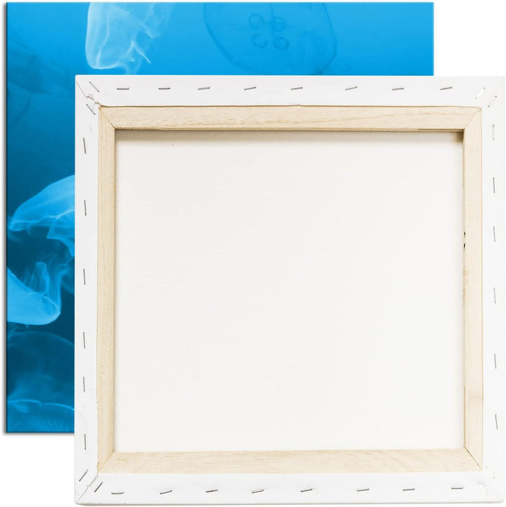 deyoli viele Blaue Quallen Format: 70x70 Effekt: Monocrome Blau als Leinwandbild, Motiv fertig gerah