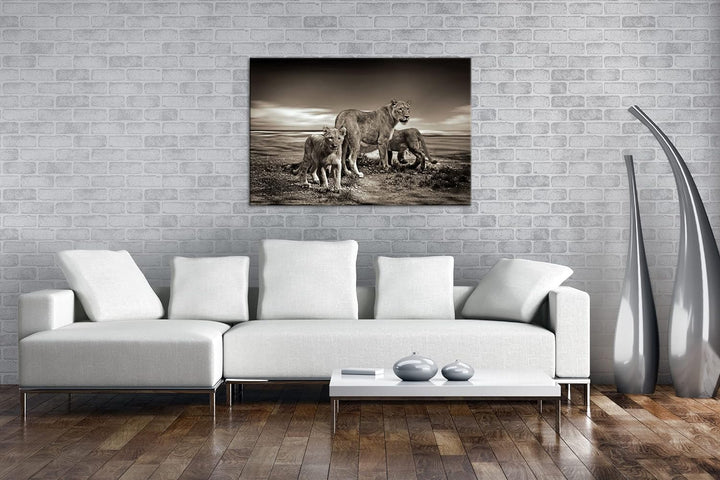 deyoli zauberhafte Löwenfamilie Format: 80x60 als Leinwandbild, Motiv fertig gerahmt auf Echtholzrah