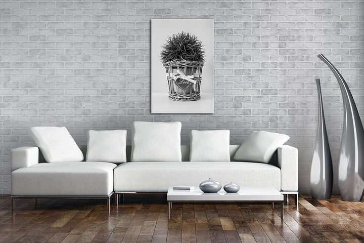 deyoli Schilf im Blumentopf Effekt: Schwarz/Weiss im Format: 80x60 als Leinwandbild, Motiv fertig ge