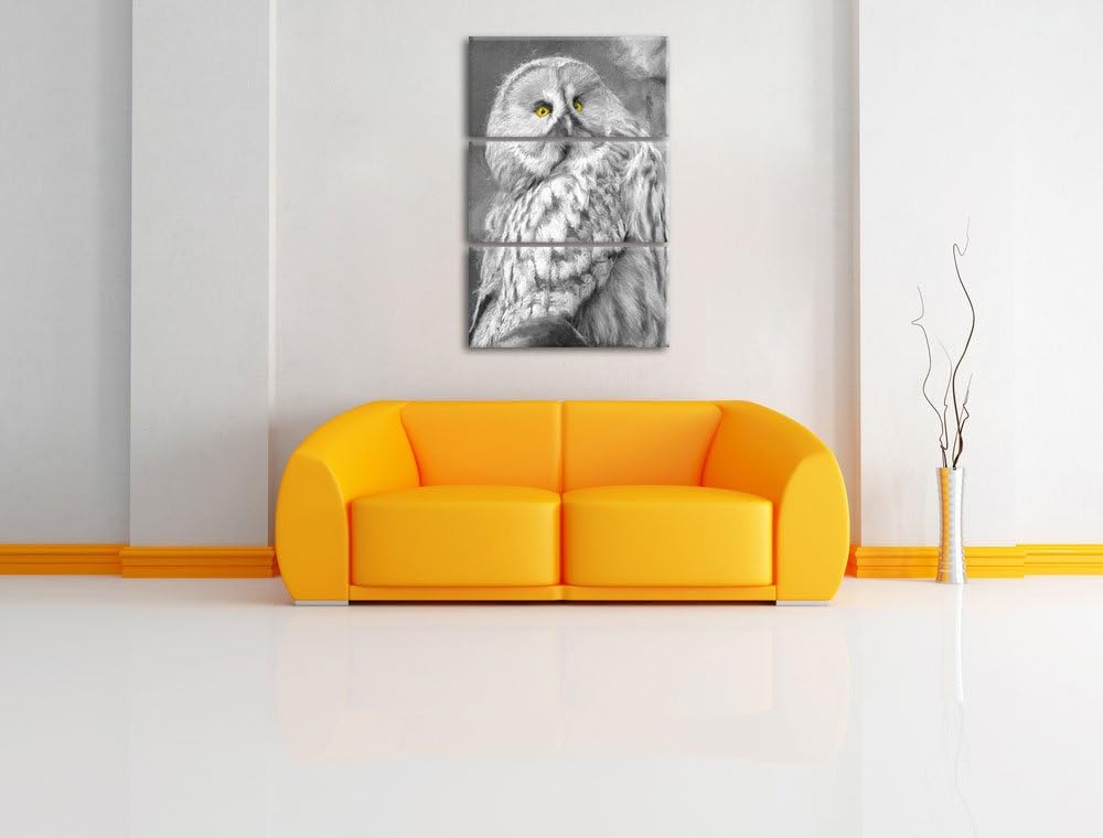 grosse anmutige Eule auf Ast schwarz/weiss Deluxe 3-Teiler Leinwandbild 120x80 Bild auf Leinwand, XX