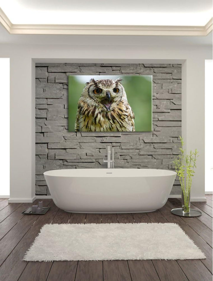 grosse Waldeule gähnt Leinwand, XXL riesige Bilder fertig gerahmt mit Keilrahmen, Kunstdruck auf Wan