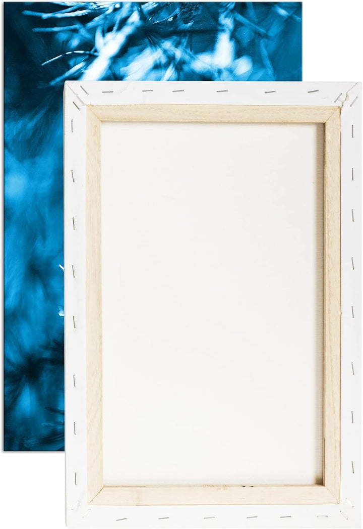 deyoli Tannenzapfen am Ast Format 80x60 Effekt: Monocrome Blau als Leinwandbild, Motiv fertig gerahm