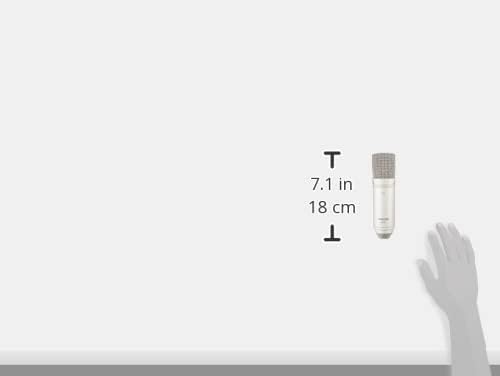Tascam TM-80 – Kondensatormikrofon, Silber TM-80 Silber, TM-80 Silber