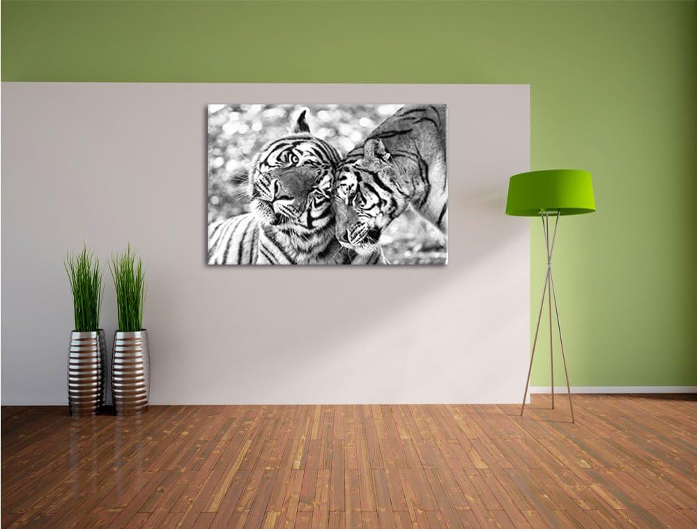 Pixxprint Zwei liebkosende Tiger Kunst B&W, Format: 100x70 auf Leinwand, 100x70
