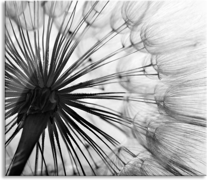Schöne Pusteblume Herdabdeckplatte & Spritzschutz aus Echtglas | Für Herd-Kochfelder | 60x52 cm