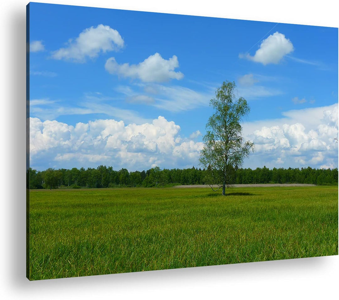 deyoli Wiese am Waldrand Format: 80x60 als Leinwandbild, Motiv fertig gerahmt auf Echtholzrahmen, Ho