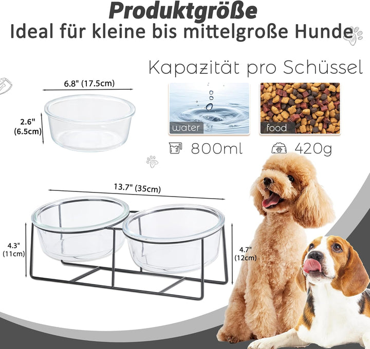 Hundenapf Katzennapf - Futternapf Hund Katze - Futterstation Hund Katzen Erhöht mit Ständer - Doppel