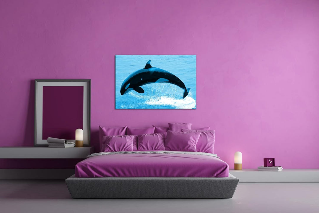 deyoli verspielter Orca Format 100x70 Effekt: Monocrome Blau als Leinwandbild, Motiv fertig gerahmt