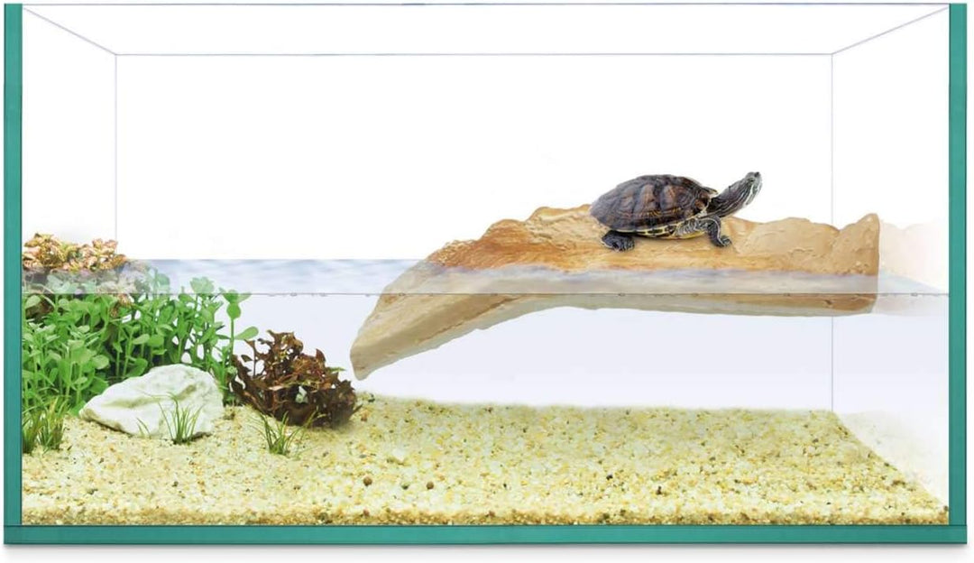 ICA Schildkröten-Set Insel 30 Reptiselva 3100 g