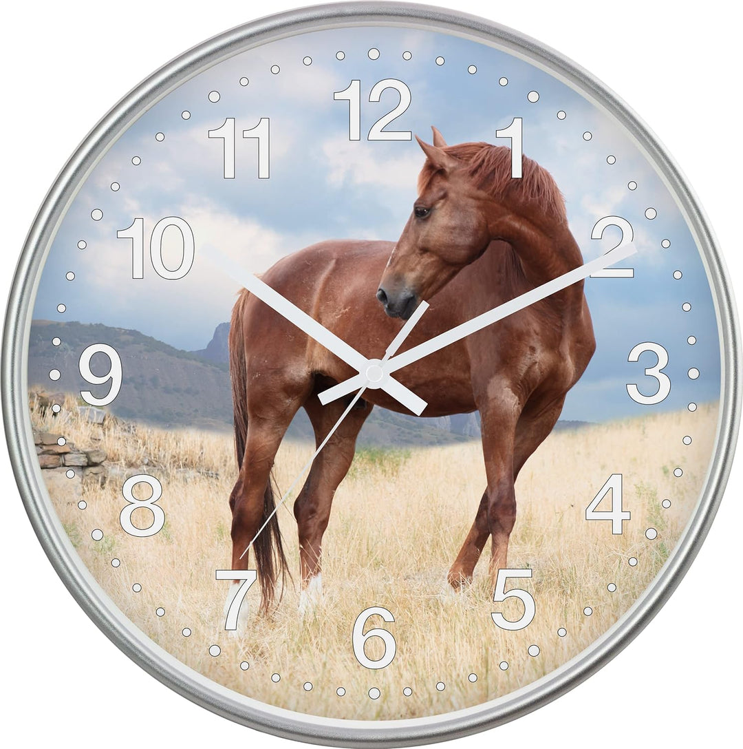 Eurotime Quarzwanduhr, 30 cm, Kunststoffgehäuse Silber, Echtglasabdeckung, klares 12-Zahlen Zifferbl