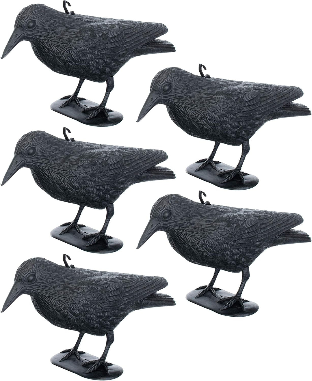 Brandsseller 5er-Set Taubenschreck Rabe Krähe abwehr von Kleinvögeln und Tauben Vogelschreck Tierfre