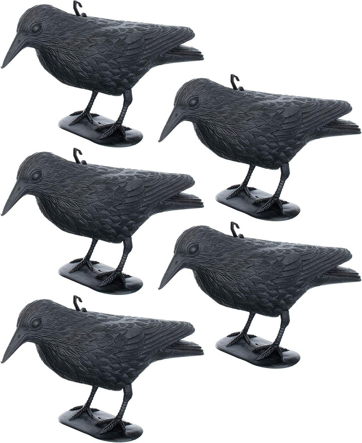 Brandsseller 5er-Set Taubenschreck Rabe Krähe abwehr von Kleinvögeln und Tauben Vogelschreck Tierfre