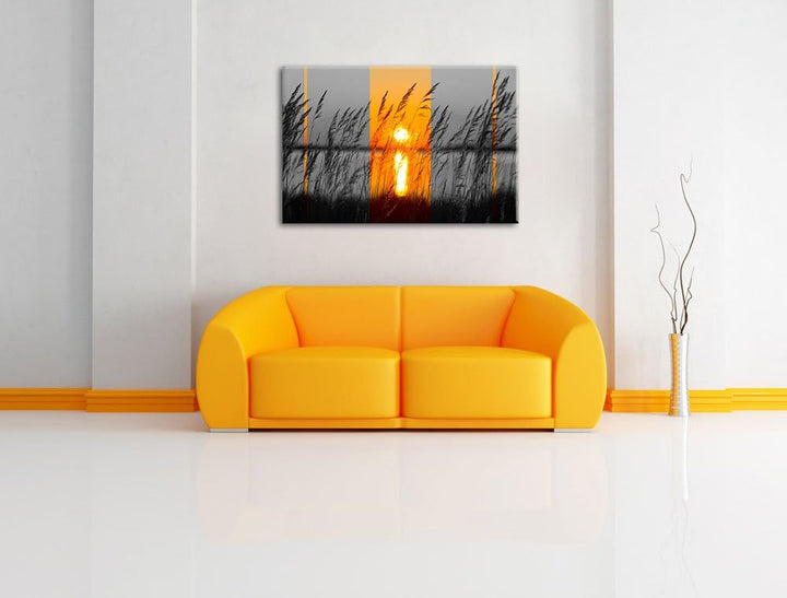 Gräser bei Sonnenuntergang schwarz/weiss Format: 100x70 auf Leinwand, XXL riesige Bilder fertig gera