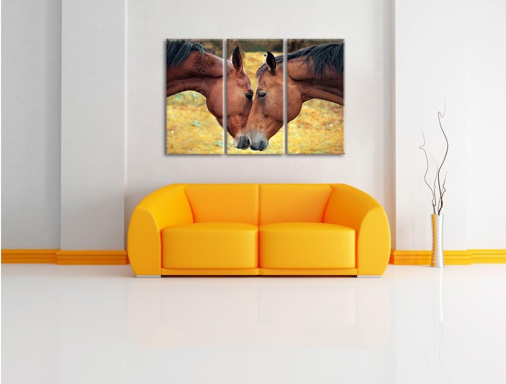 Pixxprint Zwei schmusende Pferde als Leinwandbild/Grösse: 3 Teilig (120x80 cm) cm/Wandbild/Kunstdruc