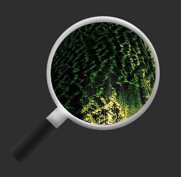 islandburner Bild Bilder auf Leinwand Baumkrone Grün Wald Sonnenstrahlen Bäume 1p XXL Poster Leinwan