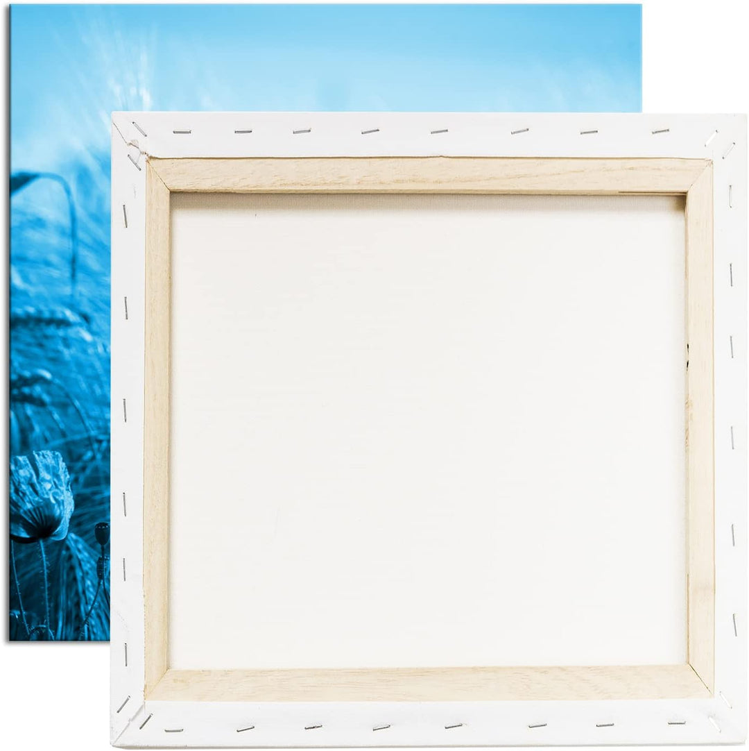 deyoli zarte Mohnblumen im Getreidefeld Format: 70x70 Effekt: Monocrome Blau als Leinwand, Motiv fer