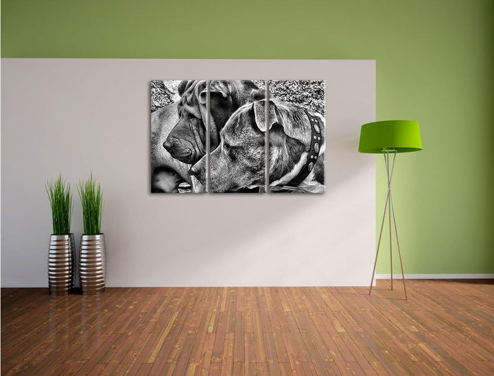 Pixxprint Zwei Hunde im Profil als Leinwandbild/Grösse: 3 Teilig (120x80) / Wandbild/Kunstdruck/fert