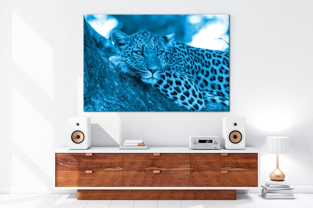 deyoli liegender Leopard Format 80x60 Effekt: Monocrome Blau als Leinwandbild, Motiv fertig gerahmt