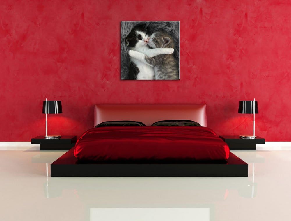 Pixxprint Zwei kuschelnde Kätzchen als Leinwandbild | Grösse: 70x70 cm | Wandbild | Kunstdruck | fer