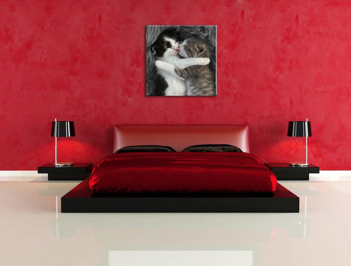Pixxprint Zwei kuschelnde Kätzchen als Leinwandbild | Grösse: 70x70 cm | Wandbild | Kunstdruck | fer