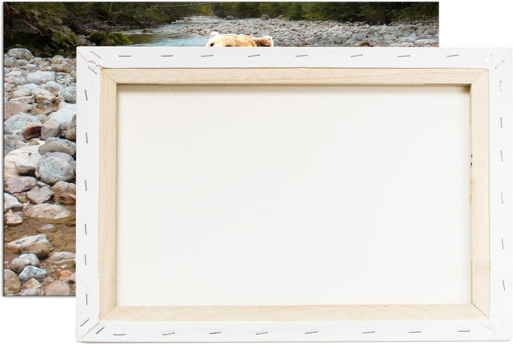 deyoli niedlicher Braunbär Format: 80x60 als Leinwandbild, Motiv fertig gerahmt auf Echtholzrahmen,