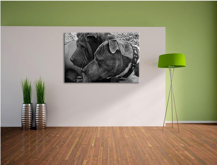 Pixxprint Zwei Hunde im Profil auf Leinwand, XXL riesige Bilder fertig gerahmt mit Keilrahmen, Kunst