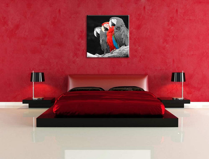 prächtige Papageien auf AST als Leinwandbild Quadratisch/Grösse: 70x70 / Wandbild/Kunstdruck/fertig
