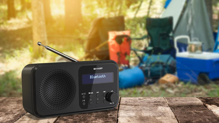 SHARP DR-P420 Portables Digitalradio (DAB/DAB+/FM mit RDS, USB, Bluetooth 5.0, 3,5mm Klinke Wecker-F