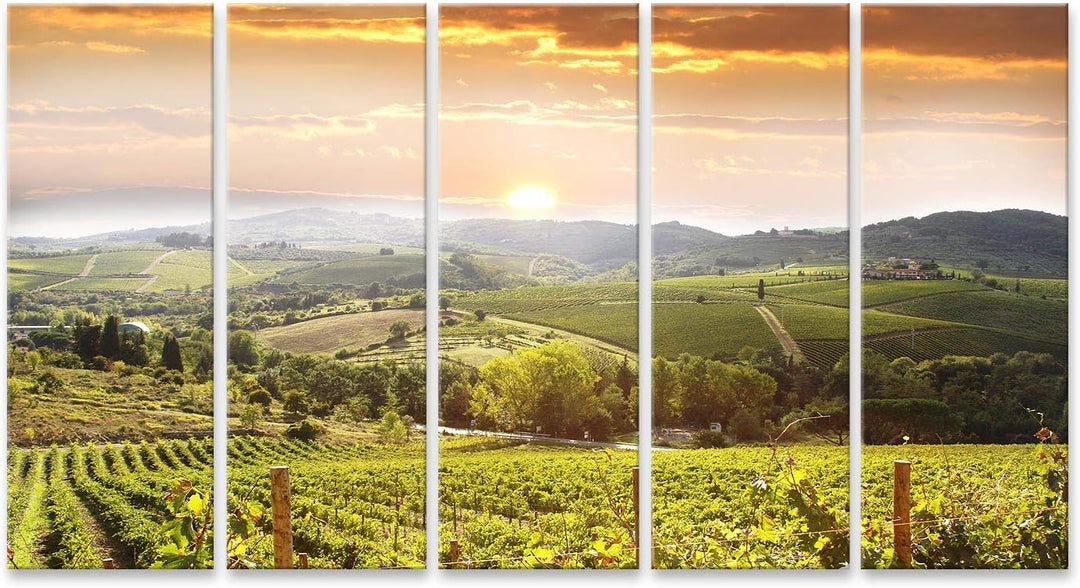 Bild Bilder auf Leinwand Chianti-Weinberglandschaft in Toskana Italien Wandbild, Poster, Leinwandbil