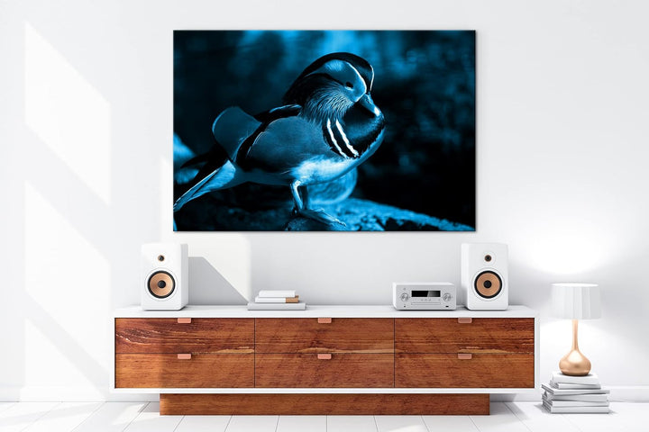 deyoli niedliche Holzente Format 80x60 Effekt: Monocrome Blau als Leinwandbild, Motiv fertig gerahmt
