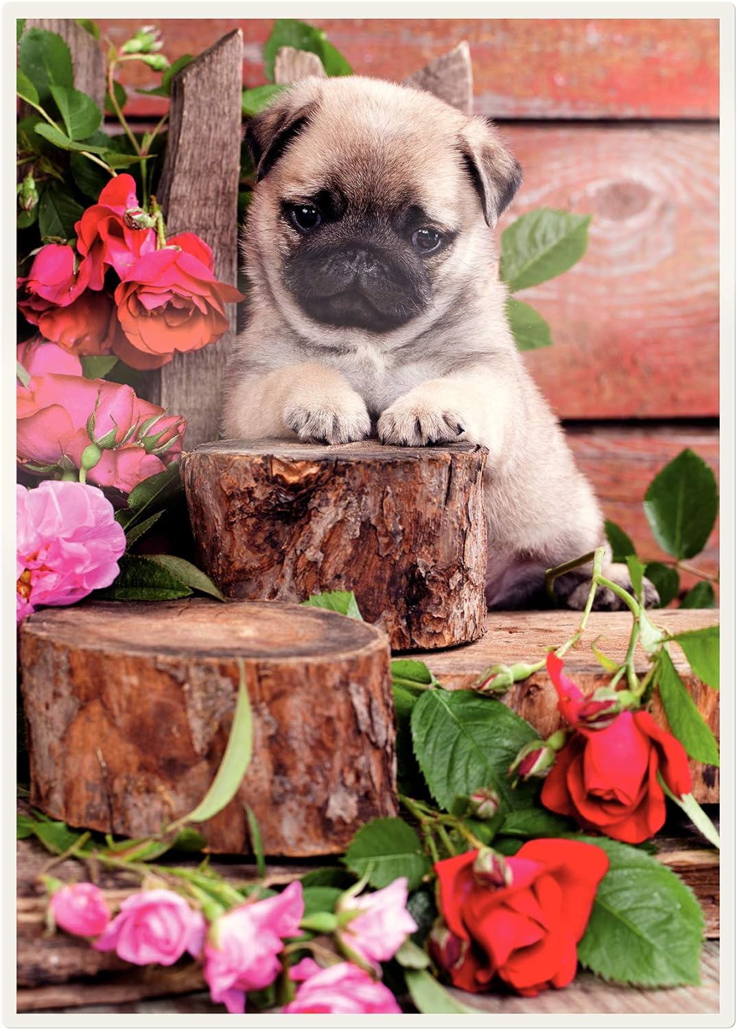 Leitz Heisslaminierfolien A3 Matt 125 mic, Hochwertige Laminierfolien im 100er Pack, zum Beschriften