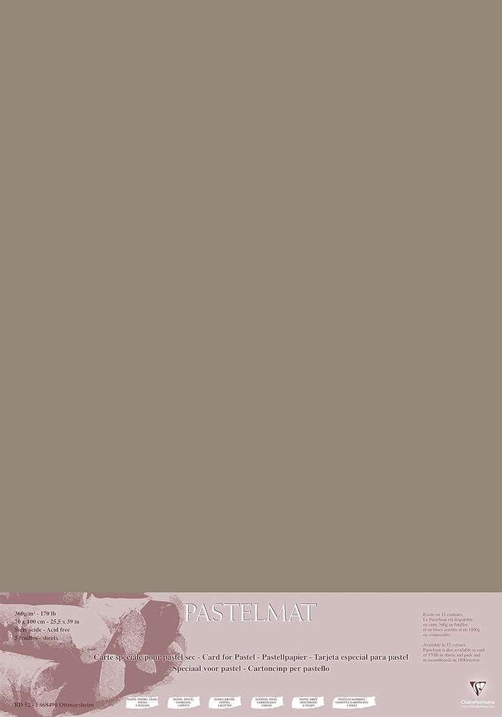 Clairefontaine 296011C Packung (mit 5 Zeichenbögen Pastelmat, 70 x 100 cm, 360 g, ideal für Trockent