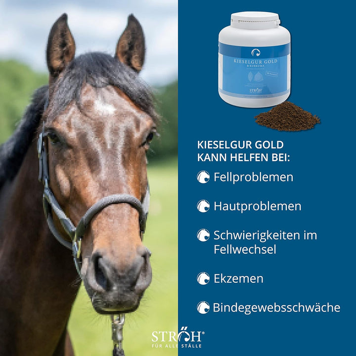 STRÖH Kieselgur Gold & Algen Pferd (1,7kg) • Zur Unterstützung von Stoffwechsel & Fellwachstum • Min