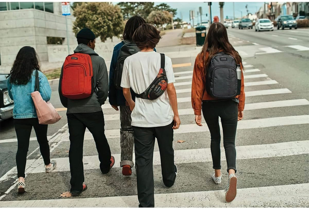 Dakine Classic Hip Pack, Hüfttasche mit 2 Fächern mit Reissverschluss, Sonnenbrillenfach - Gürteltas