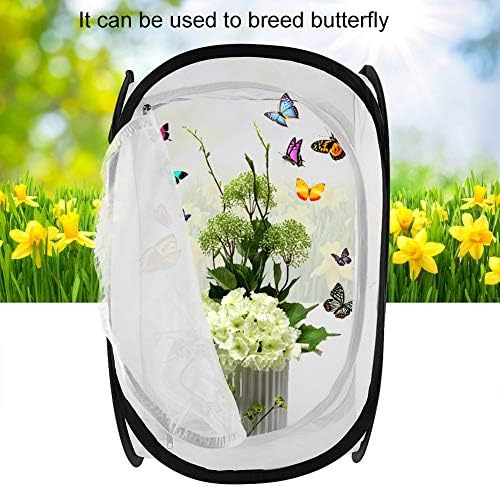 Insekten-Lebensraumkäfig Grosser Tragbarer Faltbarer, Haltbarer Mottenschmetterling Belüftete Tierzu