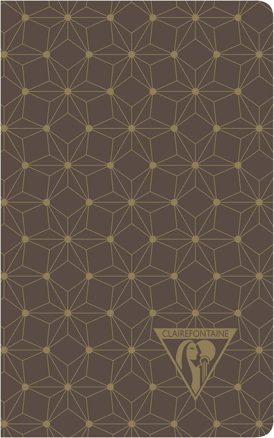 Clairefontaine 192086C - Packung mit 12 Notizbücher Neo Deco Kollektion Winter, 7,5x12 24 Blatt lini