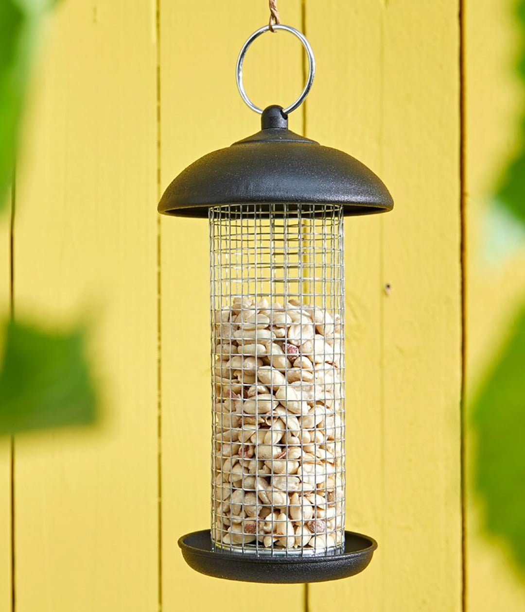 Dehner Natura Wildvogelfutter, halbe/ganze Erdnüsse, 10 kg halbe/ganze Erdnüsse 10 kg (1er Pack), ha