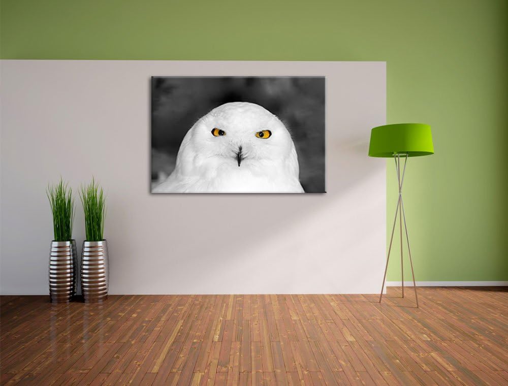 Prächtige schneeweisse Eule Schwarz/Weiss, Format: 100x70 auf Leinwand, riesige Bilder fertig gerahm