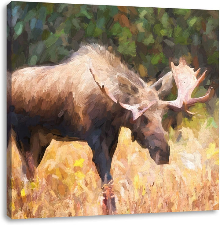 prächtiger Elch auf Wiese, Format: 70x70 auf Leinwand, XXL riesige Bilder fertig gerahmt mit Keilrah