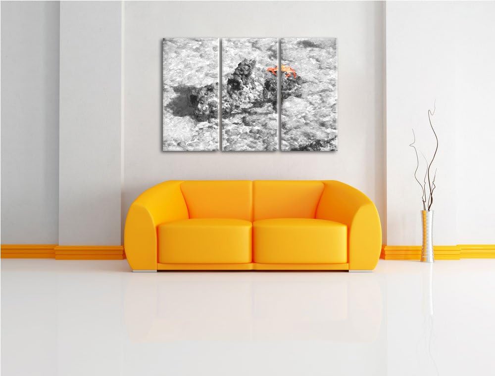 rote Krabbe auf Riff schwarz/weiss Deluxe 3-Teiler Leinwandbild 120x80 Bild auf Leinwand, XXL riesig