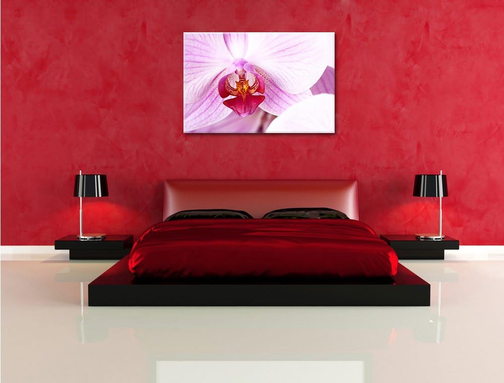 Prächtige Rosa Orchidee Format: 100x70 auf Leinwand, XXL riesige Bilder fertig gerahmt mit Keilrahme