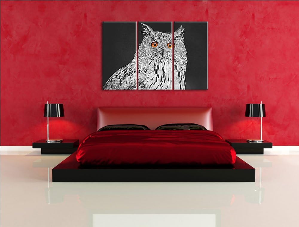 aufmerksame Waldohreule schwarz/weiss Spezial 3-Teiler Leinwandbild 120x80 Bild auf Leinwand, XXL ri