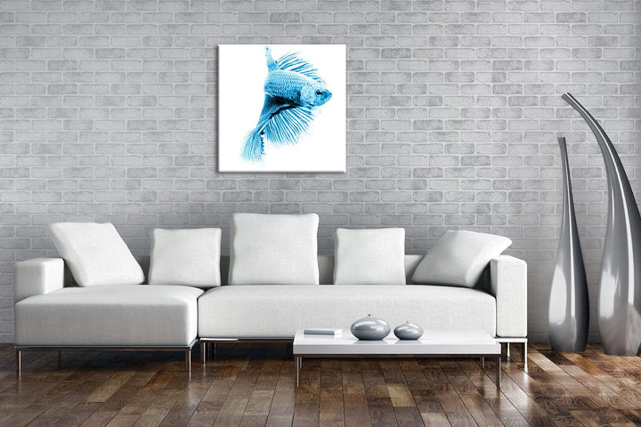 deyoli roter Kampffisch Format: 60x60 Effekt: Zeichnung als Leinwandbild, Motiv auf Echtholzrahmen,