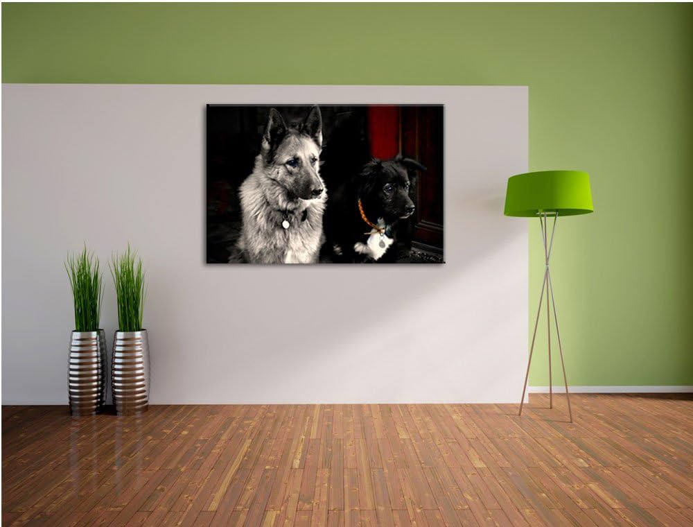 Pixxprint Zwei Hunde auf dem Teppich auf Leinwand, XXL riesige Bilder fertig gerahmt mit Keilrahmen,